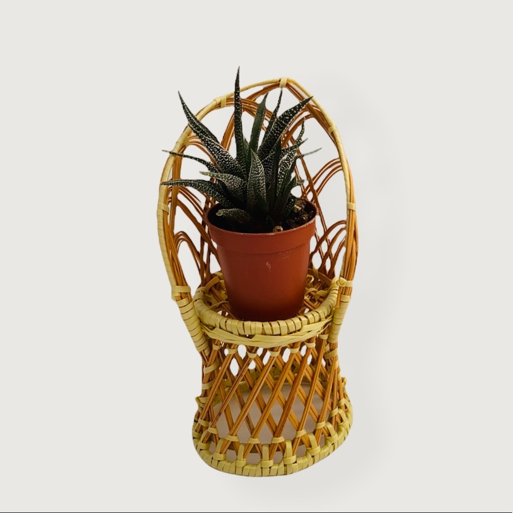 Vintage Rattan Peacock Doll Chair/Plant Stand